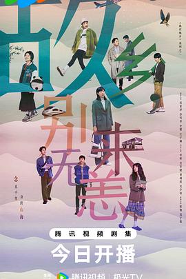 上海专业seo优化网络